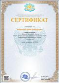 Сертификат об активном участии в деятельности экспертного совета Международного педагогического портала "Солнечный свет"    16 марта 2020 г.